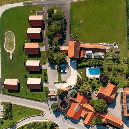 Martinova Izba - Rooms & Apartments Laško Buitenkant foto